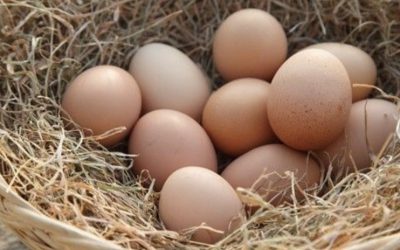 Why is breakfast so important?